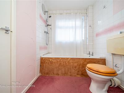 Picture 24